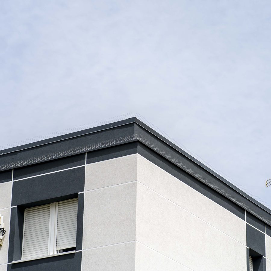 Fachada renovada por Proyecton
